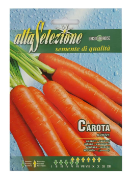 Seeds Veg. Carrot Nantese Di Chioggia AVS 23/7 Alta
