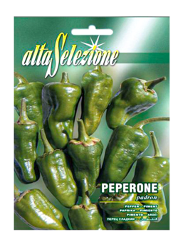 Seeds Veg. Pepper Padron AVS 97/38 Alta