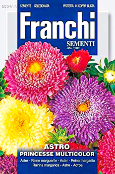 Seeds Flower Aster Princesse Mixed FFS 304/10 Franchi