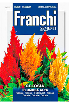 Seeds Flower Celosia Plumosa Mixed FFS 312/2 Franchi