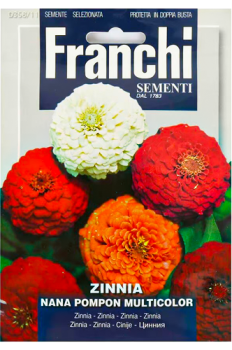Seeds Flower Zinnia Dwarf Pompom Mixed FFS 358/11 Franchi