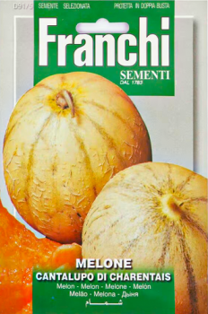 Seeds Veg. Melon Charentais FVS 91/5 Franchi