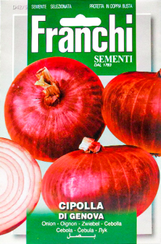 Seeds Veg. Onion Di Genova Red FVS 42/5 Franchi