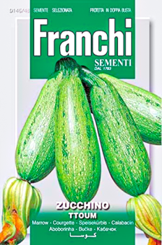 Seeds Veg. Squash Type Lebanese Zucchino FVS 146/48 Franchi