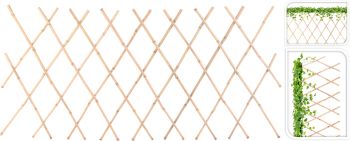 Bamboo Fence For Plants 836610010
